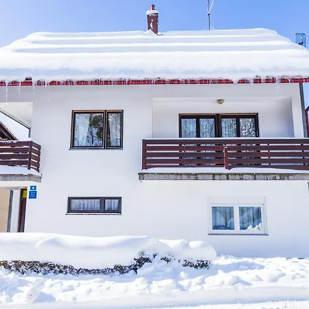 Japlenski Apartament Delnice