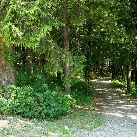 Japlenski Apartament