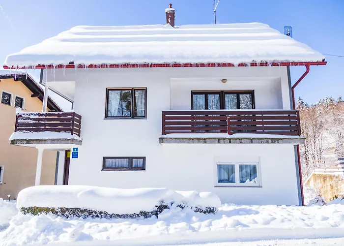 Japlenski Lejlighed Delnice