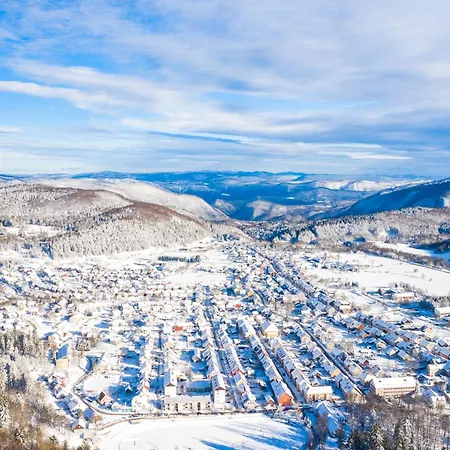 Apartment Japlenski Delnice