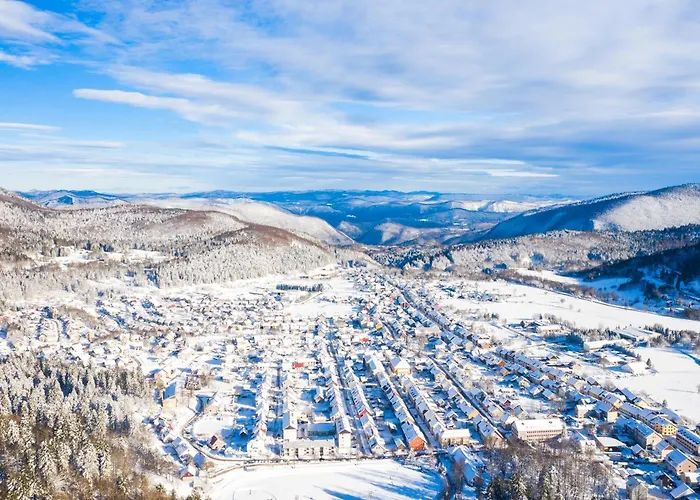 Appartamento Japlenski Delnice